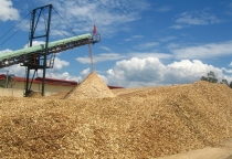    Đồng Tháp : Vỏ trấu tăng giá