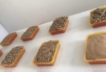    Các ứng dụng phổ biến từ vỏ trấu