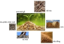 Giá trị năng lượng và môi trường của sinh khối