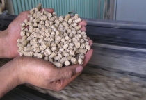 Công Dụng Của Trấu Viên