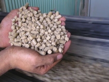 Công Dụng Của Trấu Viên