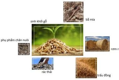 Giá trị năng lượng và môi trường của sinh khối
